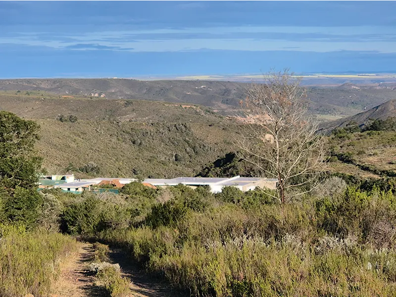 Gondwana #2
